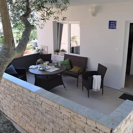 Olive Tree *