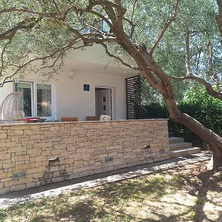 Apartmán Olive Tree *