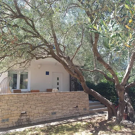 Olive Tree Apartmán *